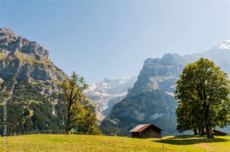 Grindelwald Eiger Eigernordwand Schreckhorn Alpen Berner Oberland