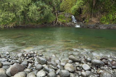 Waterfall At Kolekole Beach Park Photograph By Charmian Vistaunet Pixels