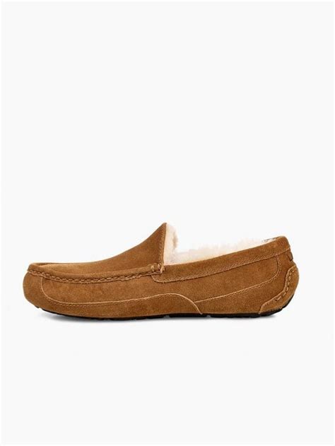 Ugg Mens Ascot Slippers Chestnut