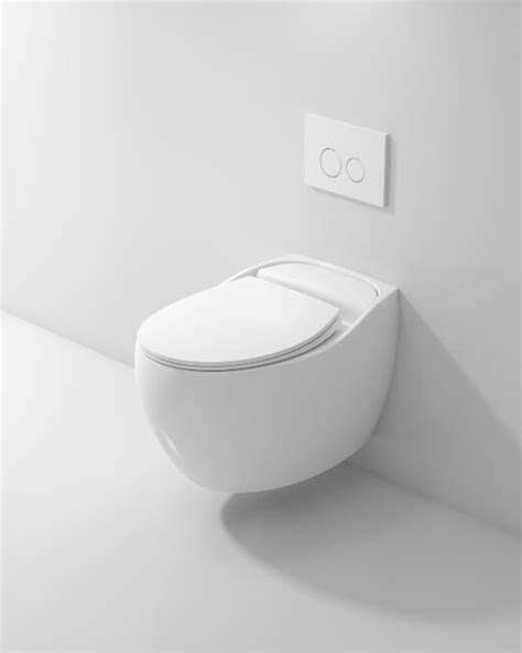 Rimless Vitreous China Matte White Wall Hung Toilet With Color Matched Toilet Seat Suppliers And