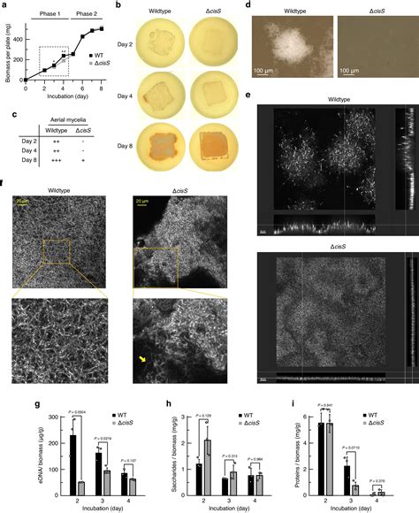 Scientists Discover Virus Like Nanoparticles Control The Multicellular