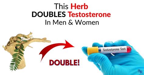 This Herb Doubles Testosterone In Men Women Clinically Proven Dr