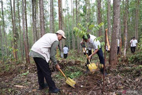 Sepekan Panglima Tni Mutasi Pati Hingga Pindah Ke Ikn