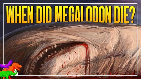 How Do We Know Megalodon Is Extinct Meg Files YouTube