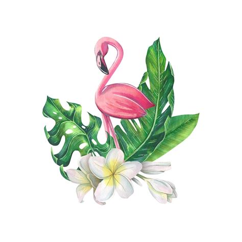 Free Vector Watercolor Flamingo Decorative Design