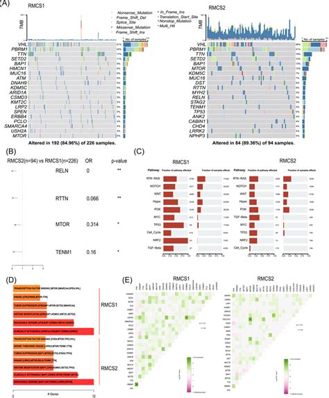 Somatic Mutation Landscape Of MRCS1 And MRCS2 A Mutational