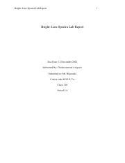 Identifying Bright Line Spectra Through Flame Tests Lab Report