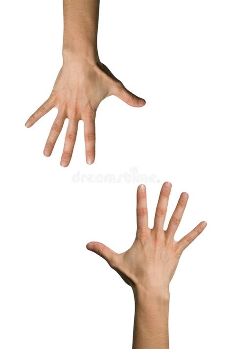 Human Hand Palm Facing Up Stock Photos Free And Royalty Free Stock