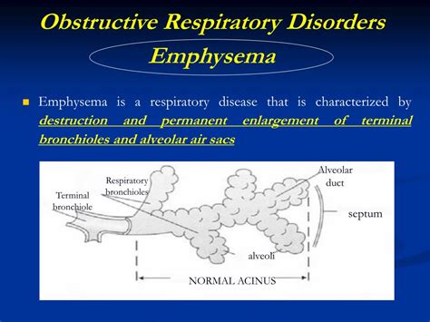 Ppt Disorders Of The Respiratory System Powerpoint Presentation Free