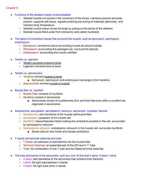 9 10 11 ANAT Study Guide Chapter 9 Functions Of The Skeletal Muscle