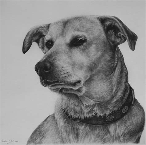 Dog Tammy Commission By Odette1994 On Deviantart Dogs Labrador