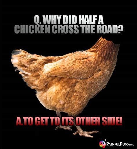 Why Did The Chicken Cross The Road Jokes