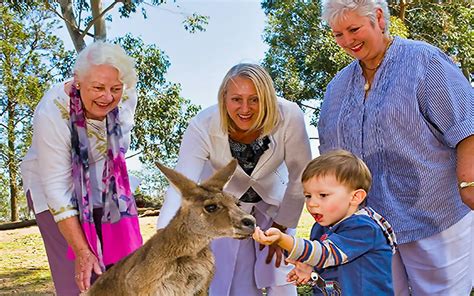 Book Lone Pine Koala Sanctuary Tickets 2024 | Brisbane River Cruise