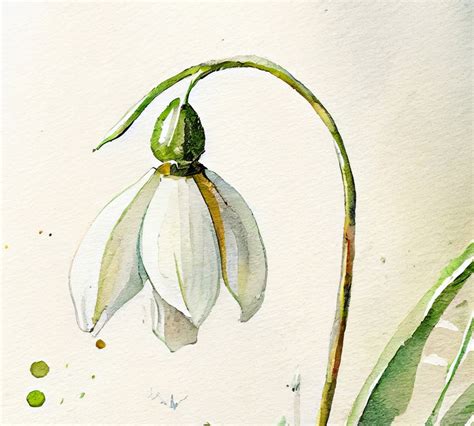 Snowdrop Flower Painting Watercolor Print Botanical Art Floral