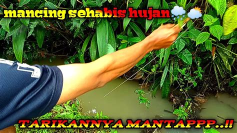 Gak Nyangka Mancing Sehabis Hujan Ikan Nya Pada Keluar Youtube