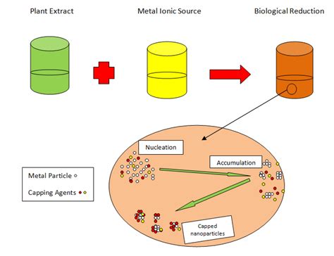 Fig Synthesis Using Plant Extract