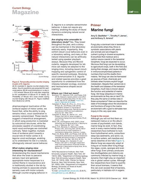 Marine Fungus Notes Magazine Current Biology R R March