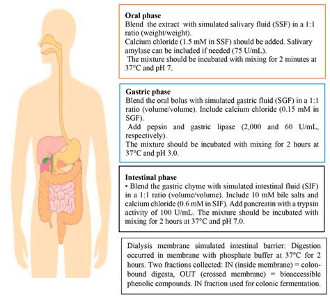 In Vitro Static Simulation Of Infogest Gastrointestinal Digestion