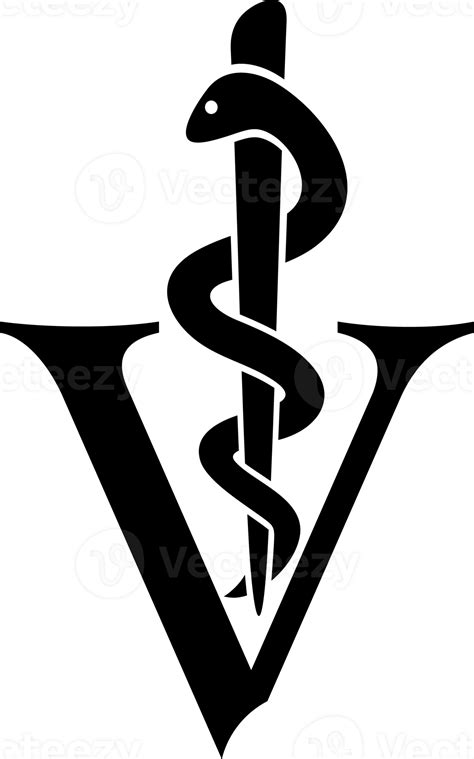 Veterinary Symbol Caduceus Snake With Stick Illustration 11617904 Png