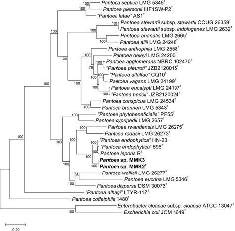 Phylogenomic Tree Based On 500 Single Copy Genes Showing The