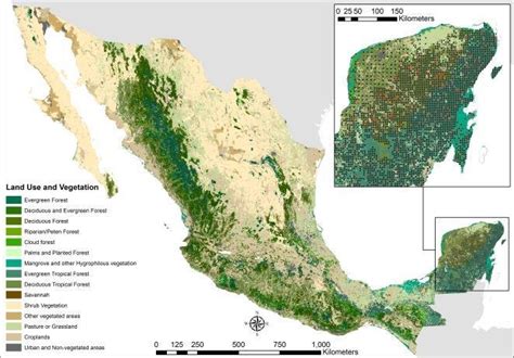 Land Use And Vegetation Map Of Mexico Inegi 2009 Training Dataset Download Scientific