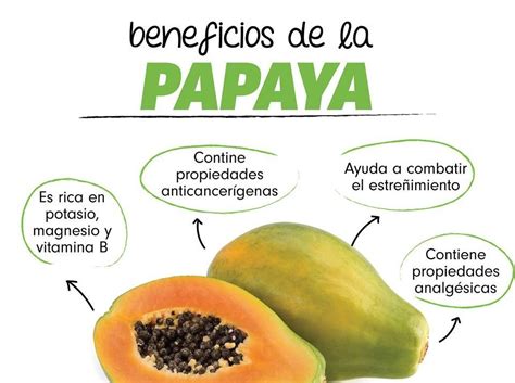 Propiedades De La Papaya Beneficios De La Papaya Frutas Y Verduras