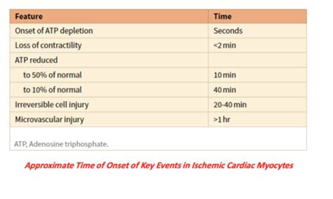 Pathology Ischemic Heart Disease Angina Pectoris Myocardial