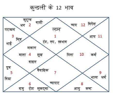 What Is Astrology Astro Dost India