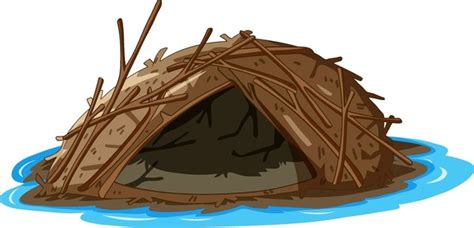 260 Beaver Homes Stock Vectors and Vector Art | Shutterstock