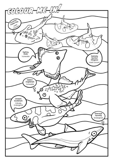 Ocean Colouring In Activities For Kids Australian Marine