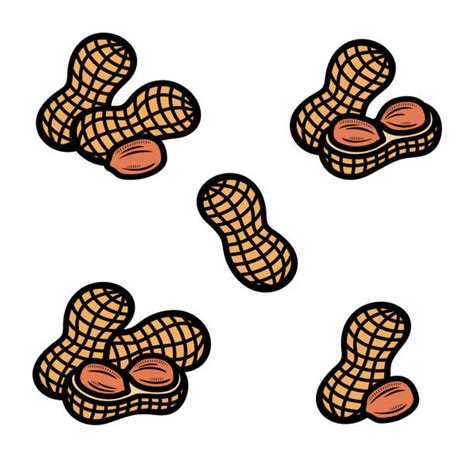 Peanut Skins Illustrations, Royalty-Free Vector Graphics & Clip Art ...