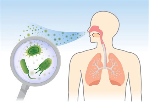 Many CF Patients Have Long-term Staphylococcus Aureus Infections, Study ...