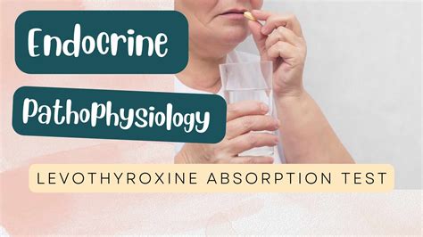 The Levothyroxine Absorption Test Assessing Thyroid Hormone