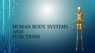 human body systems  functions powerpoint