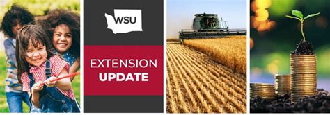 Subscribe To The Wsu Extension Update Cahnrs News Washington State University