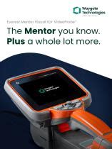 Flexible Videoscope Everest Mentor Visual IQ Waygate Technologies