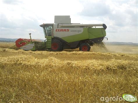 Kombajn Claas Lexion 560 Fotka 298647 Galeria Rolnicza Agrofoto