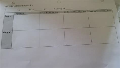 Aerobic Cellular Respiration Chegg