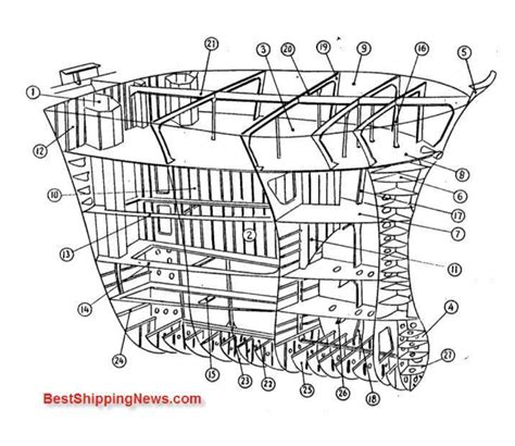 vessel structure final diagram Diagram | Quizlet