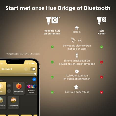 Philips Hue Filament Globelamp G125 Warmwit Licht E27 Van Den