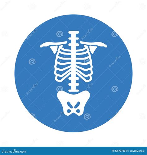 Anatomy Backbone Body Ribs Spine Organ Skeleton Icon Blue Vector