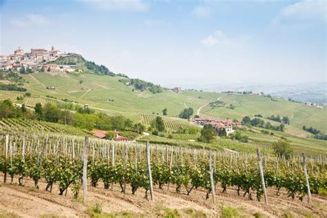 Tuscany vineyard stock image. Image of countryside, nature - 26518023