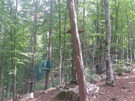 Boscopark Parco Avventura Bosco Chiesanuova tutto quello che c è da