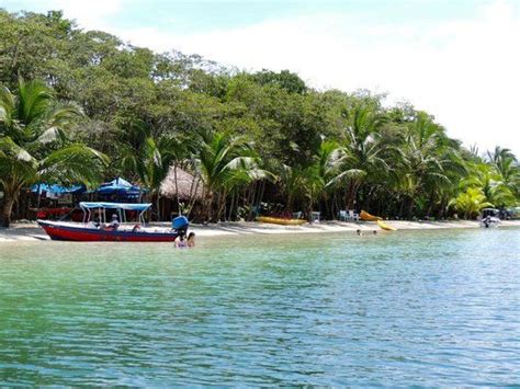 Playa Estrella Bocas Del Toro Panam Qu Ver Hacer Y Visitar