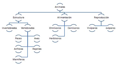 Animales Esquema De La Clasificación De Los Animales