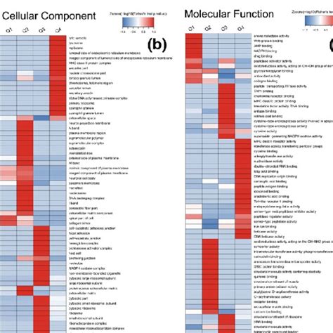 Heat Map Of Cluster Analysis For Go Annotation And Kegg Enrichment