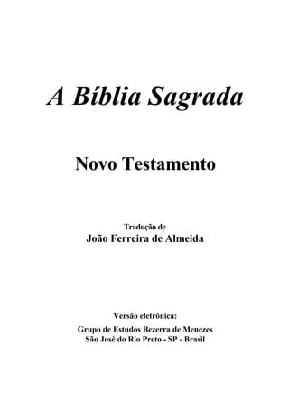 A B Blia Sagrada Novo Testamento Pdf