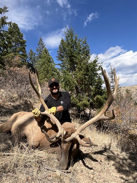 2024 Elk Photos – Royal Rut Ranch