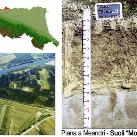 Delta Plain Area Landscape And Profile Of A Representative Soil