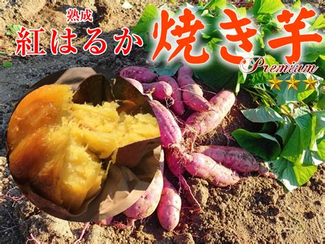 新しいブランド 焼き芋 冷凍焼き芋 3kg 送料無料 国産 紅はるか 甘い もっちり モッチリ ホクホク 冷凍 スイーツ お菓子 さつま芋